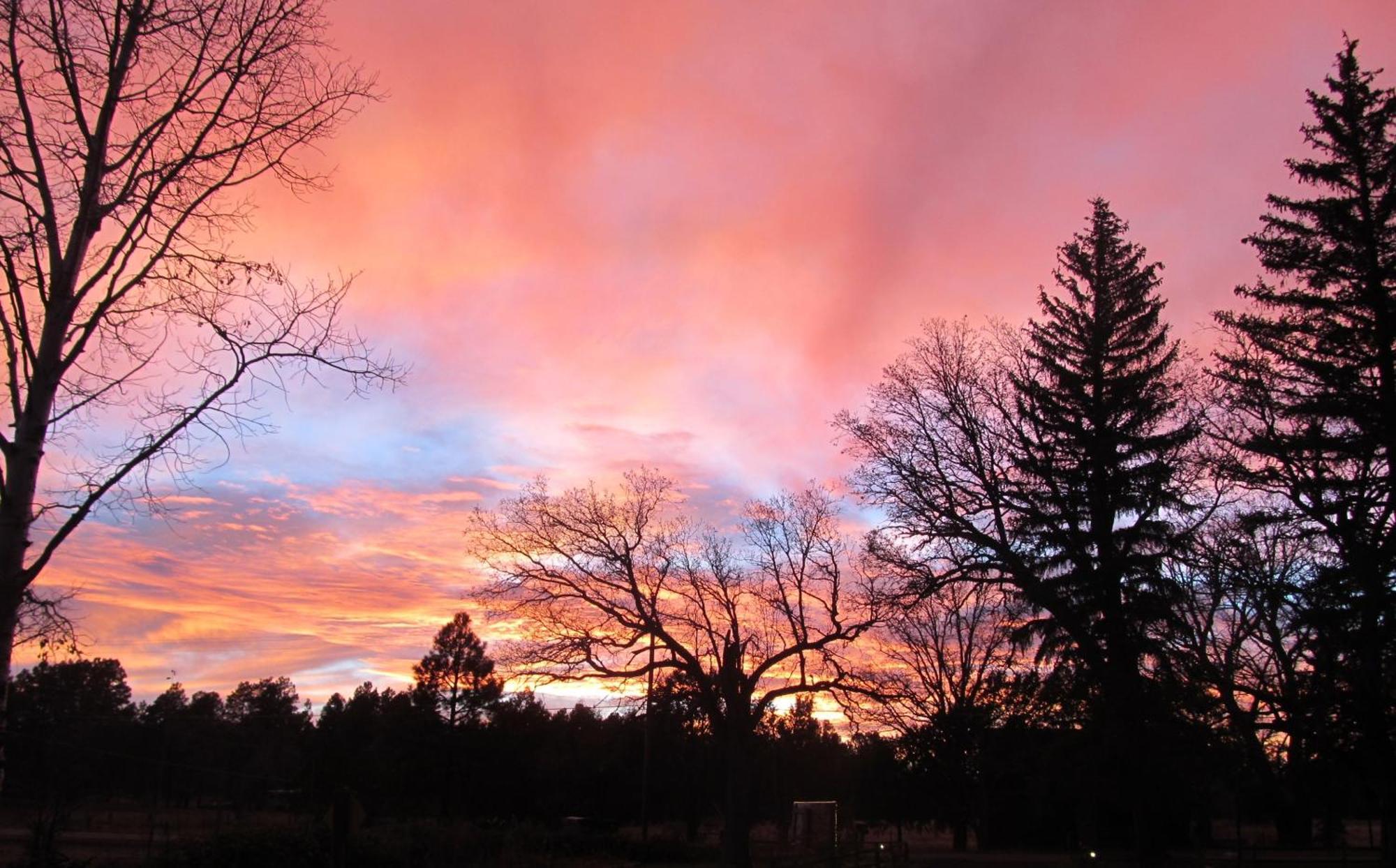 Lazy Oaks Resort Pinetop-Lakeside Extérieur photo